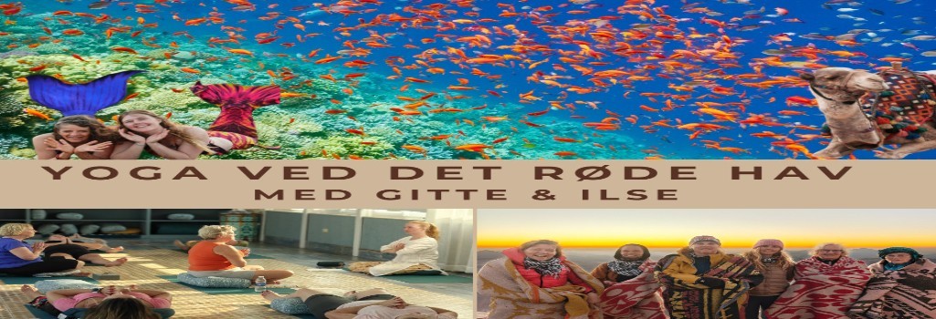 Yoga ved det røde hav